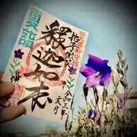 勝覚寺の御朱印