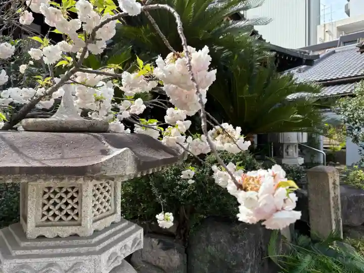 浜本山 源光寺の{uncategorized: "未分類", other: "その他", undefined: "問題あり", building: "その他建物", grave: "お墓", sacred_gate: "鳥居", guardian: "狛犬", statue: "像", buddha: "仏像", history: "歴史", nature: "自然", garden: "庭園", animal: "動物", pagoda: "塔", temizu: "手水舎", mountain_gate: "山門・神門", sanctuary: "本殿・本堂", subordinate: "末社・摂社", art: "芸術", scenery: "景色", jizo: "地蔵", ema: "絵馬", goshuin: "御朱印", omikuji: "おみくじ", items: "授与品その他", amulet: "お守り", goshuincho: "御朱印帳", eats: "食事", festival: "お祭り", votive_dance: "神楽", shichigosan: "七五三参", wedding: "結婚式", experience: "体験その他", initially: "初詣", around: "周辺", anti_infection: "感染症対策"}