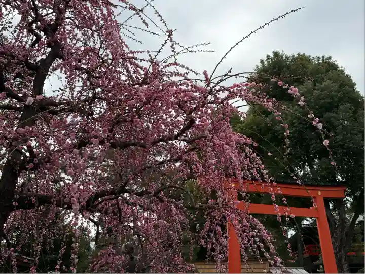 城南宮(京都府)