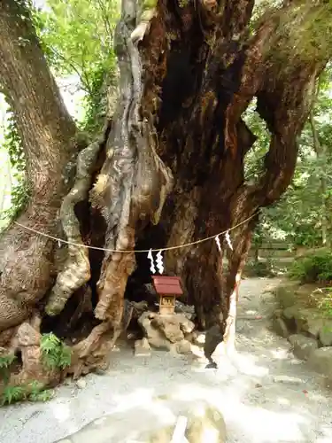 來宮神社の建物その他