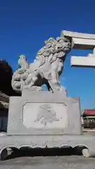 浅間神社の狛犬