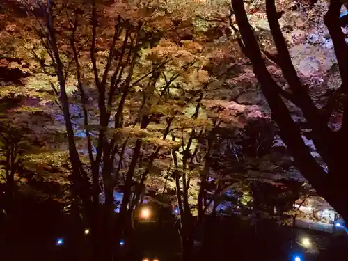 土津神社｜こどもと出世の神さまの景色