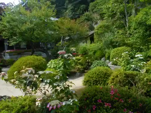 海蔵寺の庭園