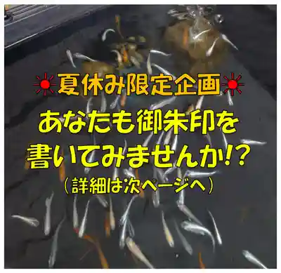 聖光寺の体験その他