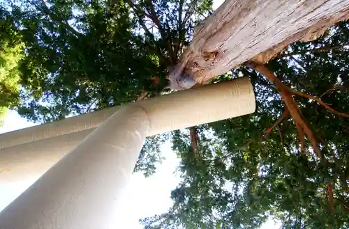 意冨比神社の鳥居