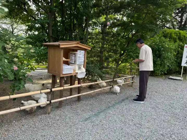 高屋敷稲荷神社(福島県)