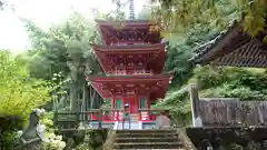 青龍寺(高知県)