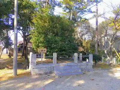 櫻井神社の自然