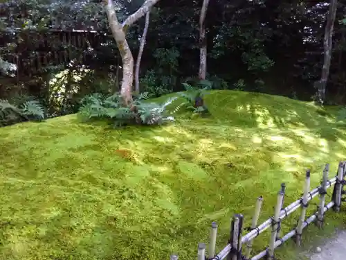 祇王寺の庭園