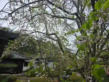 蓮花院(和歌山県)