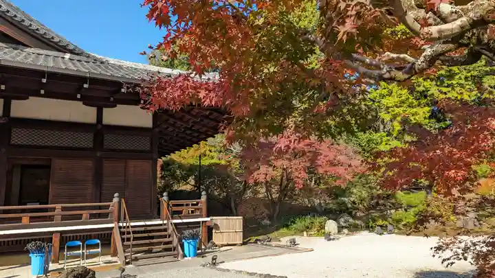 くろ谷 金戒光明寺(京都府)