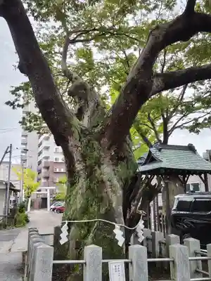 阿邪訶根神社(福島県)