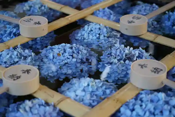 土津神社|こどもと出世の神さまの手水舎