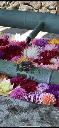 岡寺（龍蓋寺）の手水舎