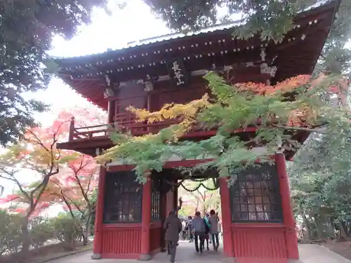 本土寺の山門