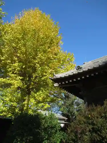 八幡神社(千葉県)