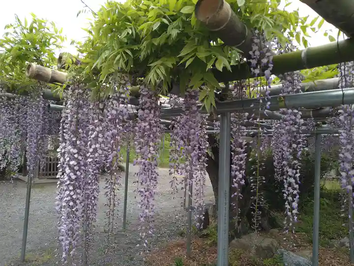 永福寺 童子堂(埼玉県)