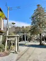 日限富士浅間神社(栃木県)