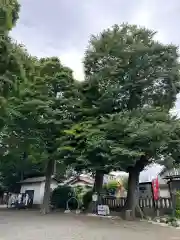 有鹿神社(神奈川県)