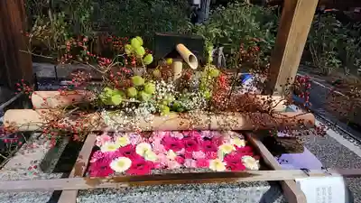 白山神社(新潟県)