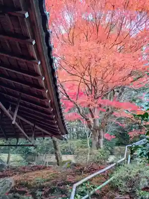 霊鑑寺門跡(京都府)
