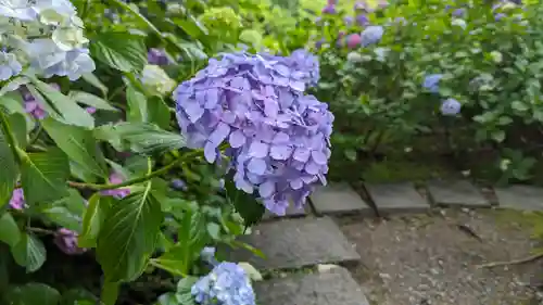  智積院(京都府)