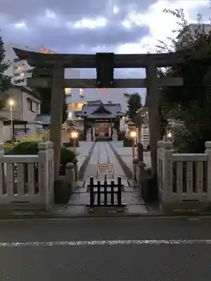 高田氷川神社の鳥居