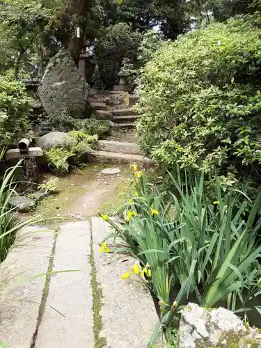 住吉神社の自然
