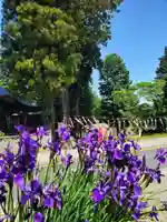 高司神社〜むすびの神の鎮まる社〜(福島県)
