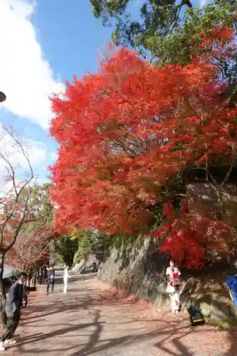 興聖寺（興聖寶林禅寺）の自然