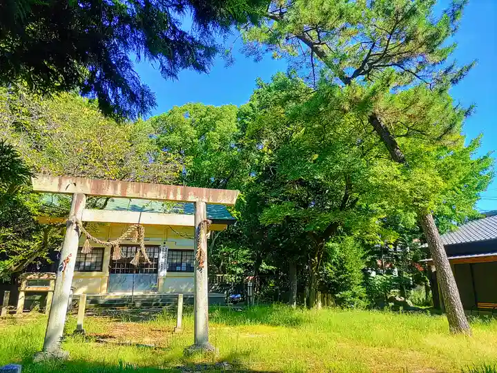 神明社(西堀江神明社)の自然
