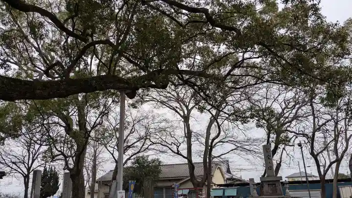 高忍日賣神社の自然