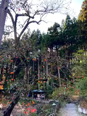 国上寺(新潟県)