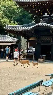 霊火堂(広島県)
