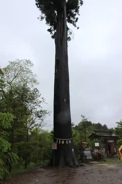 鶴峯八幡宮(千葉県)