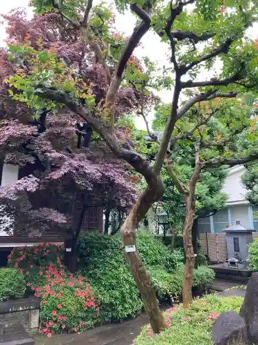 行慶寺(東京都)