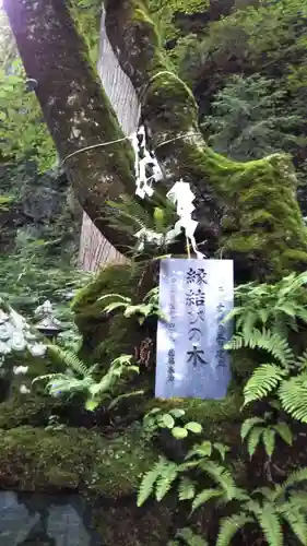 桜松神社の自然