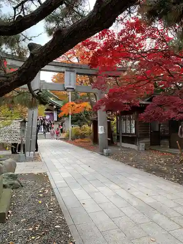 彌彦神社　(伊夜日子神社)の鳥居