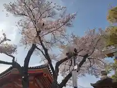 百舌鳥八幡宮の自然