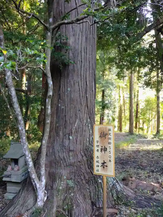 赤城神社(茨城県)