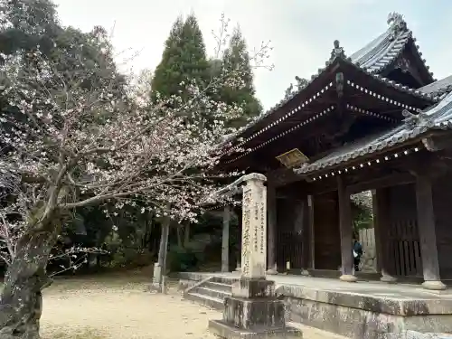 神咒寺の{uncategorized: "未分類", other: "その他", undefined: "問題あり", building: "その他建物", grave: "お墓", sacred_gate: "鳥居", guardian: "狛犬", statue: "像", buddha: "仏像", history: "歴史", nature: "自然", garden: "庭園", animal: "動物", pagoda: "塔", temizu: "手水舎", mountain_gate: "山門・神門", sanctuary: "本殿・本堂", subordinate: "末社・摂社", art: "芸術", scenery: "景色", jizo: "地蔵", ema: "絵馬", goshuin: "御朱印", omikuji: "おみくじ", items: "授与品その他", amulet: "お守り", goshuincho: "御朱印帳", eats: "食事", festival: "お祭り", votive_dance: "神楽", shichigosan: "七五三参", wedding: "結婚式", experience: "体験その他", initially: "初詣", around: "周辺", anti_infection: "感染症対策"}