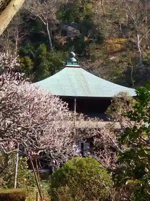 瑞泉寺(神奈川県)