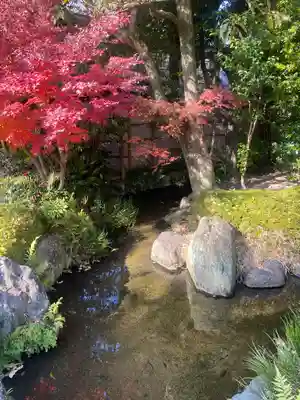 四天王寺(大阪府)
