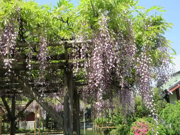 亀戸天神社(東京都)