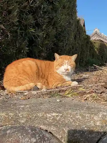 一心寺・一心禅寺(愛知県)