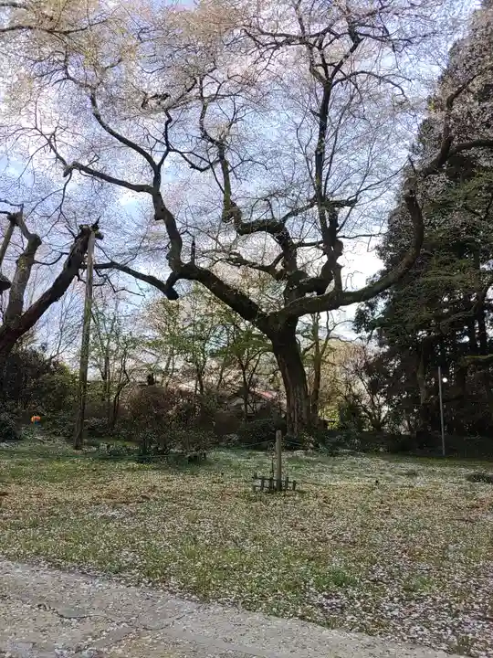 光丸山 法輪寺(栃木県)