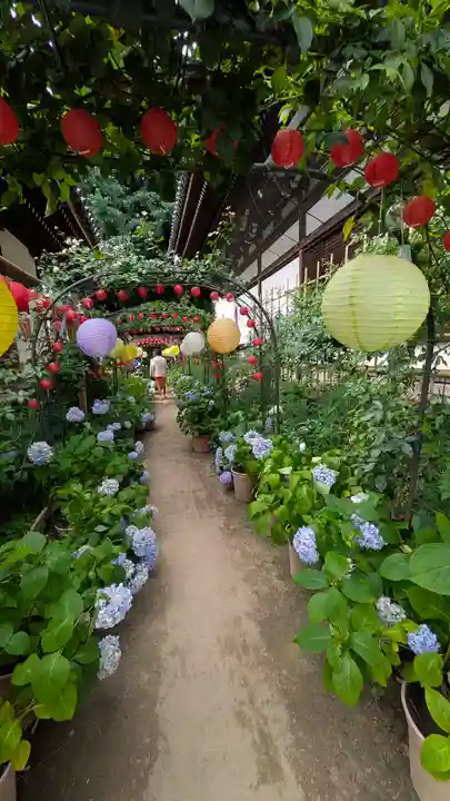 おふさ観音(観音寺)(奈良県)