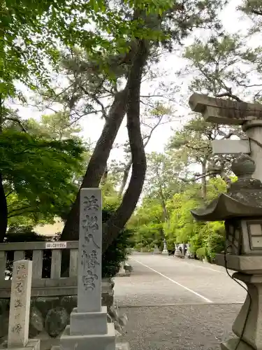 浜松八幡宮の{uncategorized: "未分類", other: "その他", undefined: "問題あり", building: "その他建物", grave: "お墓", sacred_gate: "鳥居", guardian: "狛犬", statue: "像", buddha: "仏像", history: "歴史", nature: "自然", garden: "庭園", animal: "動物", pagoda: "塔", temizu: "手水舎", mountain_gate: "山門・神門", sanctuary: "本殿・本堂", subordinate: "末社・摂社", art: "芸術", scenery: "景色", jizo: "地蔵", ema: "絵馬", goshuin: "御朱印", omikuji: "おみくじ", items: "授与品その他", amulet: "お守り", goshuincho: "御朱印帳", eats: "食事", festival: "お祭り", votive_dance: "神楽", shichigosan: "七五三参", wedding: "結婚式", experience: "体験その他", initially: "初詣", around: "周辺", anti_infection: "感染症対策"}