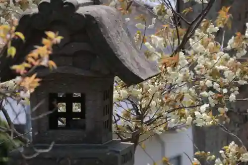 諏訪神社のその他建物