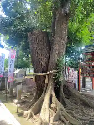 大宮・大原神社(千葉県)